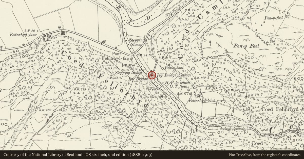 Ordnance Survey six-inch map, 2nd edition (1888–1913) covering the location of Ivy Bridge (partly in Talsarnau community), Maentwrog, Gwynedd, with a pin at the register's coordinates