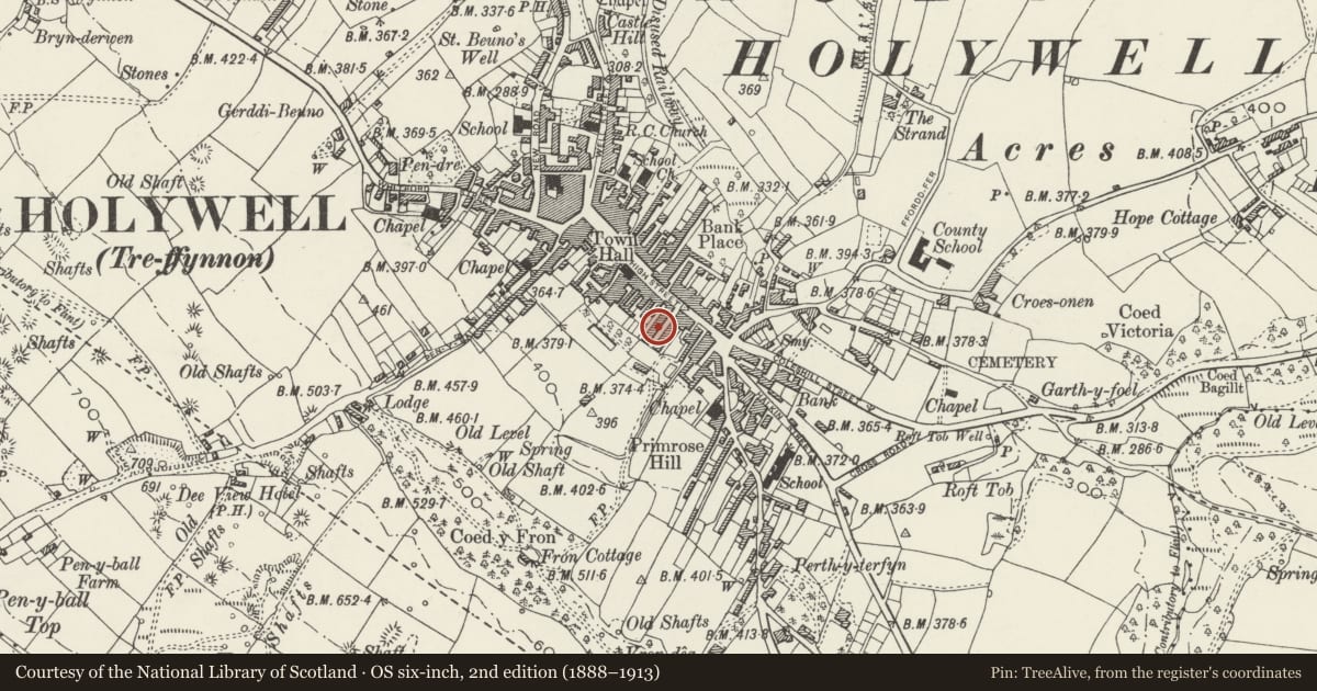 Ordnance Survey six-inch map, 2nd edition (1888–1913) covering the location of 25 Panton Place, Holywell, Flintshire, with a pin at the register's coordinates
