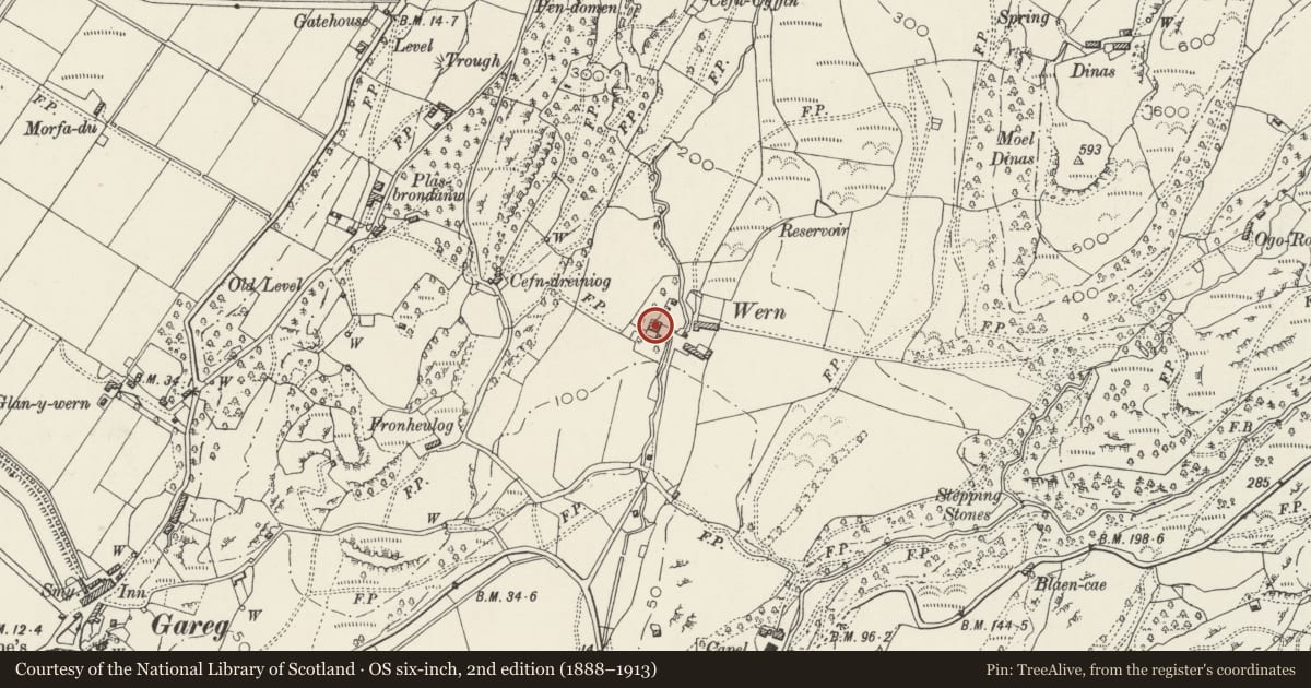Ordnance Survey six-inch map, 2nd edition (1888–1913) covering the location of Wern Farmhouse, Llanfrothen, Gwynedd, with a pin at the register's coordinates
