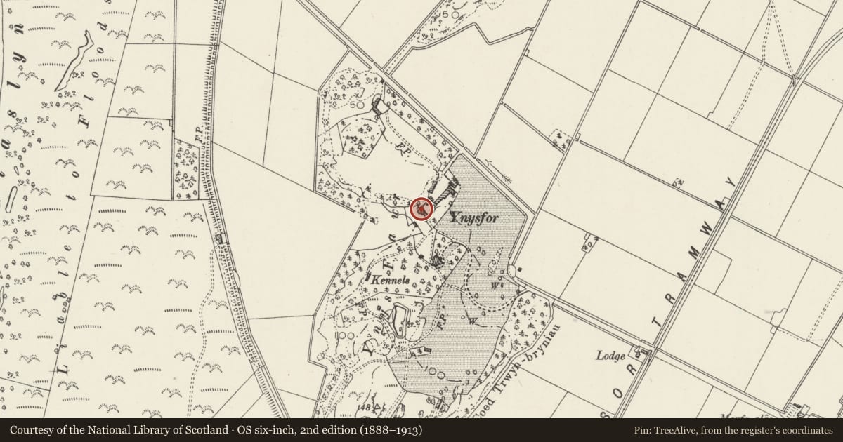 Ordnance Survey six-inch map, 2nd edition (1888–1913) covering the location of Old Ynysfor Farmhouse, Llanfrothen, Gwynedd, with a pin at the register's coordinates
