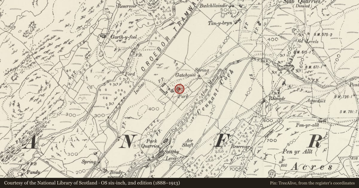 Ordnance Survey six-inch map, 2nd edition (1888–1913) covering the location of Middle Parc including Fountain Basin adjoining to W, Llanfrothen, Gwynedd, with a pin at the register's coordinates