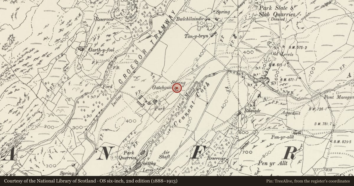 Ordnance Survey six-inch map, 2nd edition (1888–1913) covering the location of Gattws Parc including Boulder Wall adjoining to NW, Llanfrothen, Gwynedd, with a pin at the register's coordinates