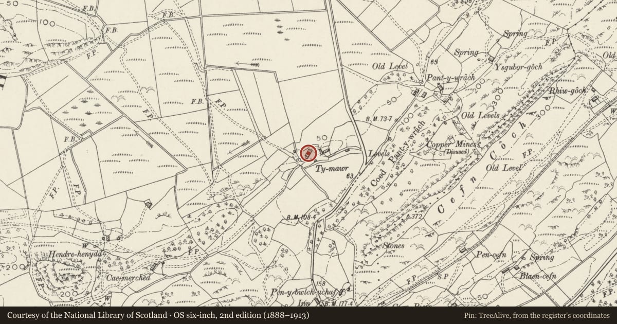 Ordnance Survey six-inch map, 2nd edition (1888–1913) covering the location of Ty Mawr Farmhouse, Llanfrothen, Gwynedd, with a pin at the register's coordinates