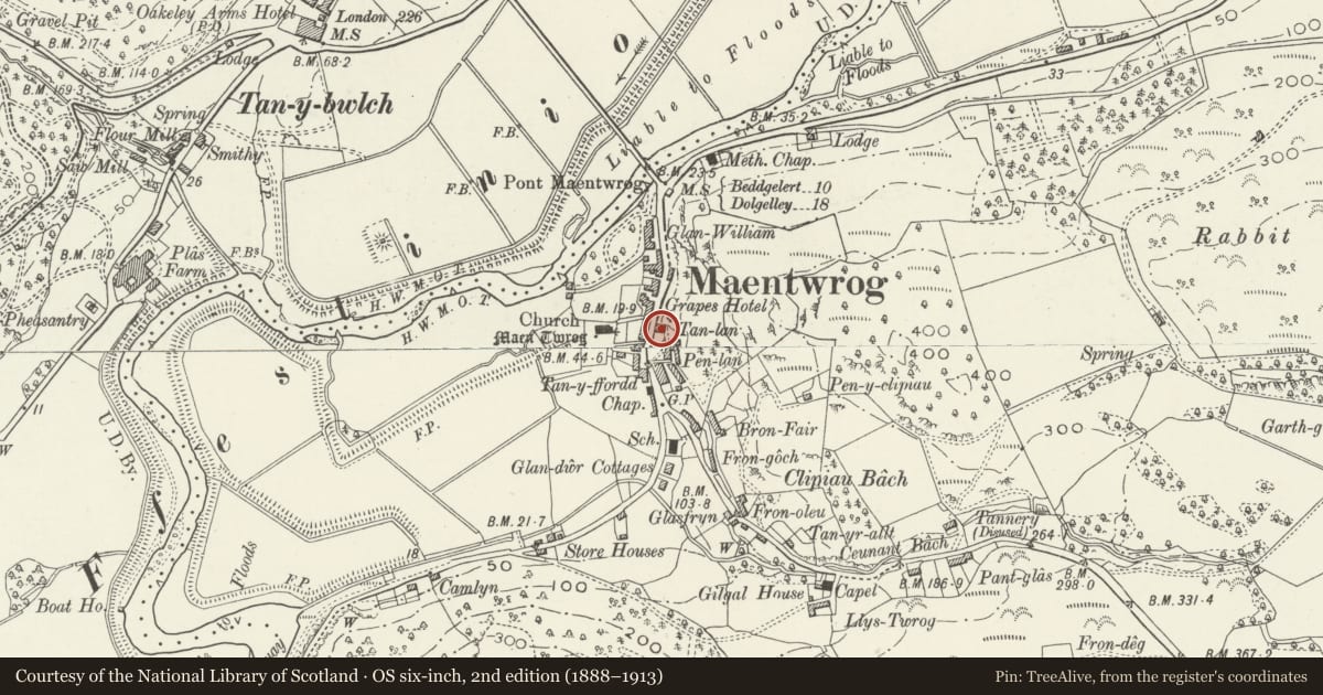 Ordnance Survey six-inch map, 2nd edition (1888–1913) covering the location of Tan-lan, Maentwrog, Gwynedd, with a pin at the register's coordinates