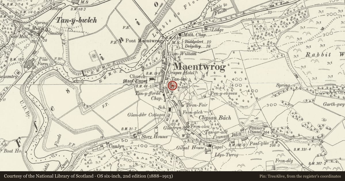Ordnance Survey six-inch map, 2nd edition (1888–1913) covering the location of Argraig, Maentwrog, Gwynedd, with a pin at the register's coordinates