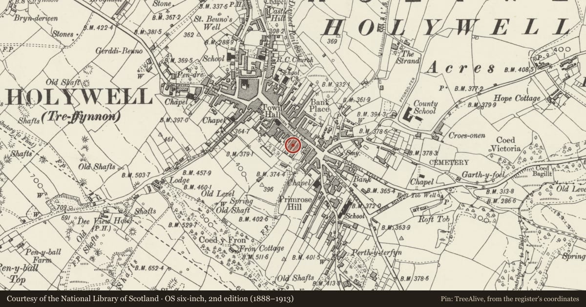 Ordnance Survey six-inch map, 2nd edition (1888–1913) covering the location of 28 Panton Place, Holywell, Flintshire, with a pin at the register's coordinates