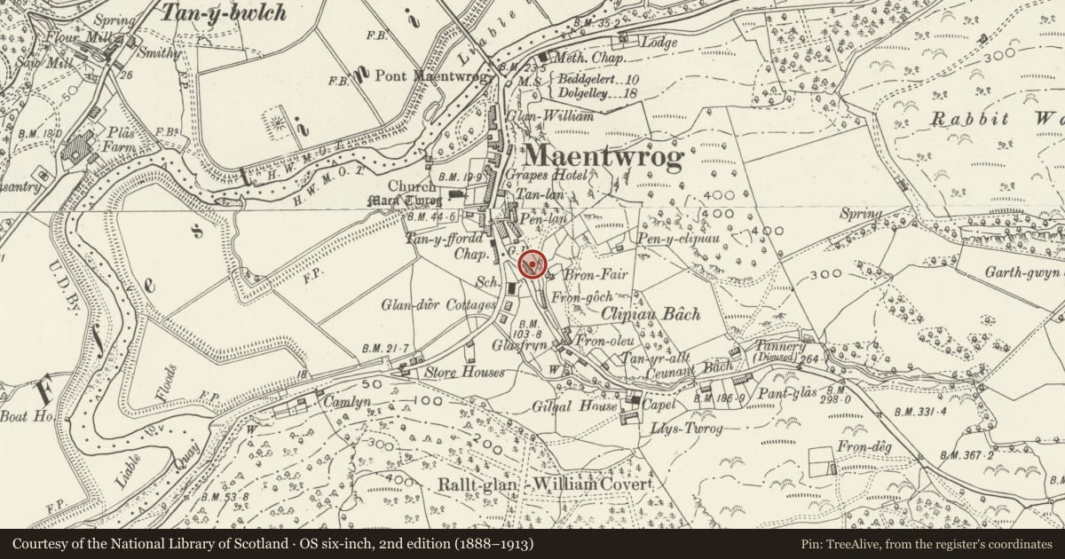 Ordnance Survey six-inch map, 2nd edition (1888–1913) covering the location of Dolydd, Maentwrog, Gwynedd, with a pin at the register's coordinates