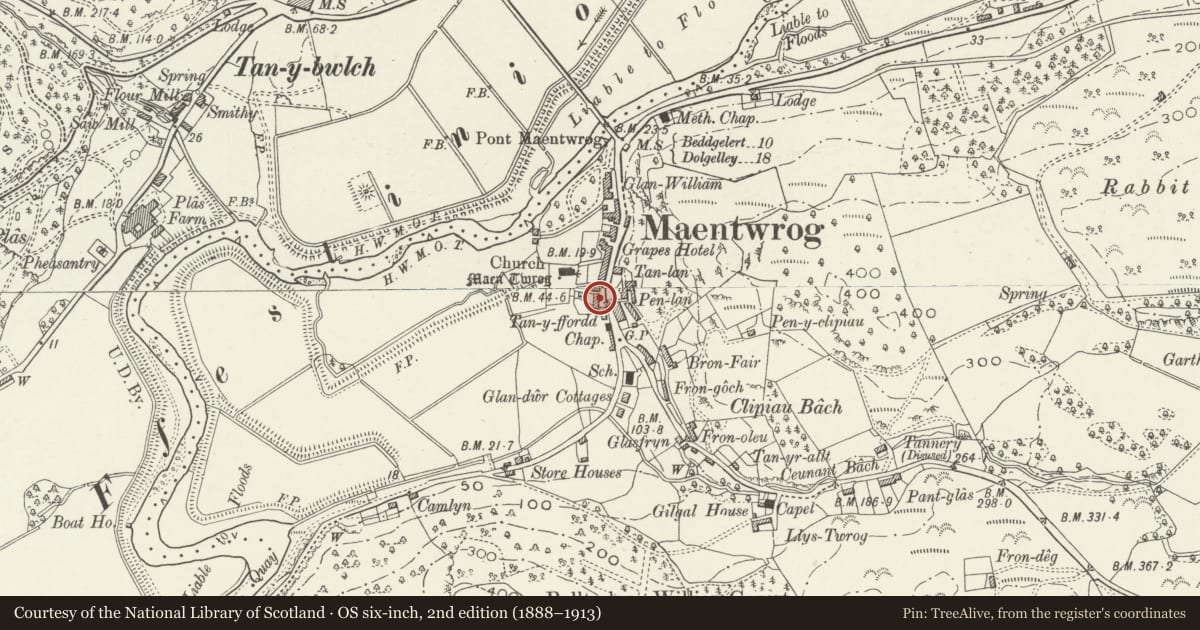 Ordnance Survey six-inch map, 2nd edition (1888–1913) covering the location of Bron-y-wern, Maentwrog, Gwynedd, with a pin at the register's coordinates