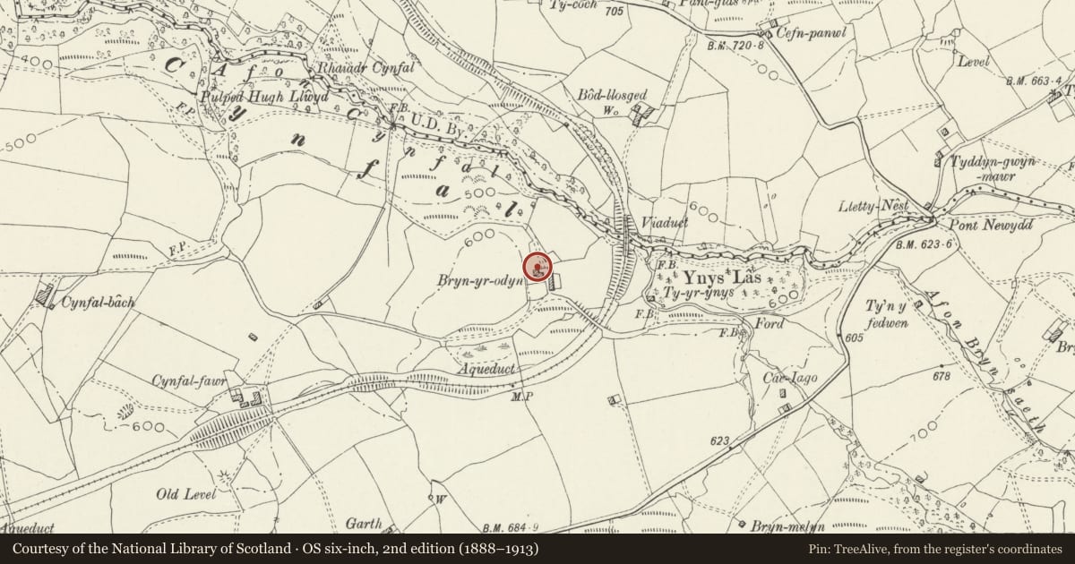 Ordnance Survey six-inch map, 2nd edition (1888–1913) covering the location of Bryn-yr-odyn, Maentwrog, Gwynedd, with a pin at the register's coordinates
