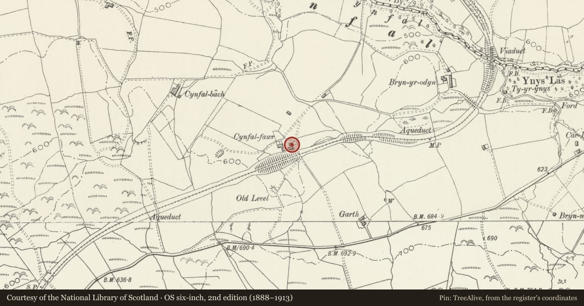 Ordnance Survey six-inch map, 2nd edition (1888–1913) covering the location of Stable to SE of Cynfal Fawr Farmhouse, Maentwrog, Gwynedd, with a pin at the register's coordinates