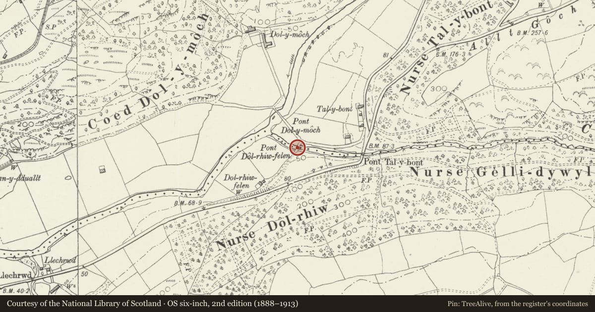 Ordnance Survey six-inch map, 2nd edition (1888–1913) covering the location of Pont Dol-rhiw-felen, Maentwrog, Gwynedd, with a pin at the register's coordinates
