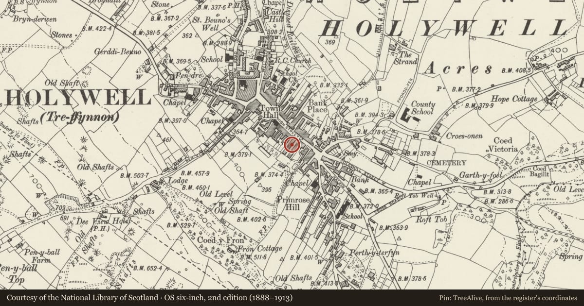 Ordnance Survey six-inch map, 2nd edition (1888–1913) covering the location of 29 Panton Place, Holywell, Flintshire, with a pin at the register's coordinates