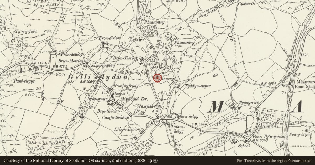 Ordnance Survey six-inch map, 2nd edition (1888–1913) covering the location of Holy Cross Church, Maentwrog, Gwynedd, with a pin at the register's coordinates