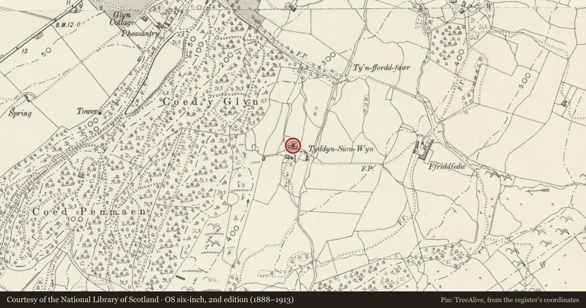 Ordnance Survey six-inch map, 2nd edition (1888–1913) covering the location of Tyddyn Sion Wyn, Talsarnau, Gwynedd, with a pin at the register's coordinates