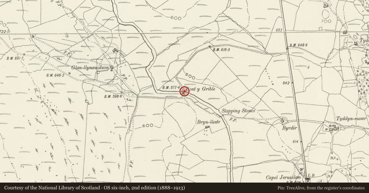 Ordnance Survey six-inch map, 2nd edition (1888–1913) covering the location of Pont-y-Grible, Trawsfynydd, Gwynedd, with a pin at the register's coordinates