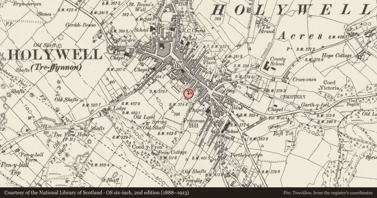 Ordnance Survey six-inch map, 2nd edition (1888–1913) covering the location of War Memorial Gates, Railings & Stone Piers, Holywell, Flintshire, with a pin at the register's coordinates
