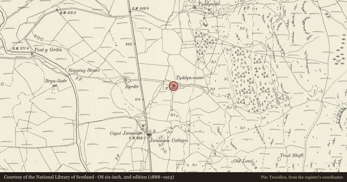 Ordnance Survey six-inch map, 2nd edition (1888–1913) covering the location of Tyddyn-mawr Farmhouse and attached barns, Trawsfynydd, Gwynedd, with a pin at the register's coordinates