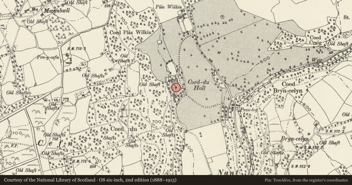 Ordnance Survey six-inch map, 2nd edition (1888–1913) covering the location of Coed Du Hospital, Cilcain, Flintshire, with a pin at the register's coordinates