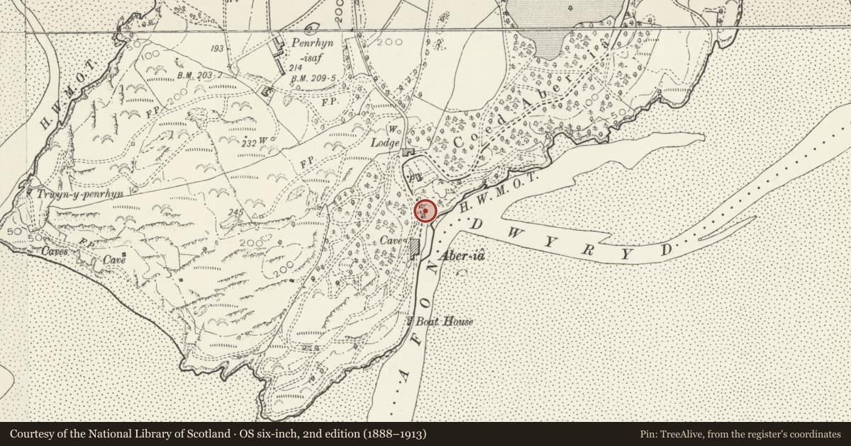Ordnance Survey six-inch map, 2nd edition (1888–1913) covering the location of Anchor, Penrhyndeudraeth, Gwynedd, with a pin at the register's coordinates
