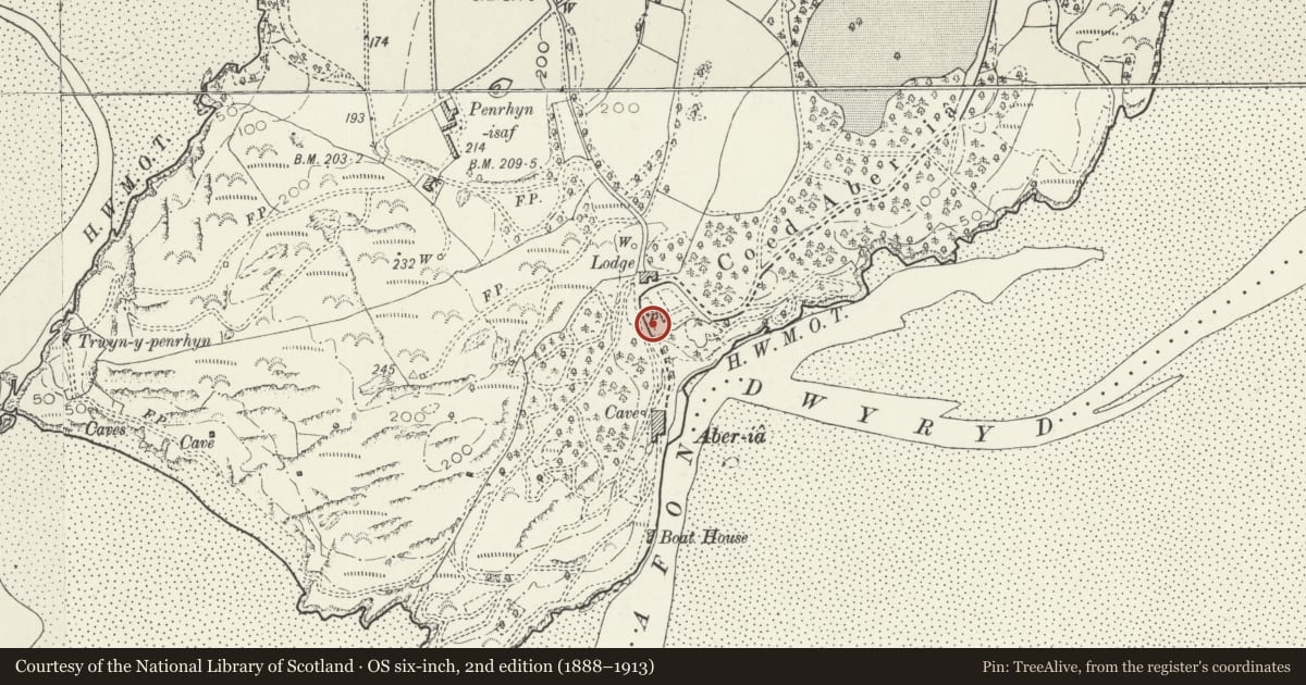 Ordnance Survey six-inch map, 2nd edition (1888–1913) covering the location of Angel, Penrhyndeudraeth, Gwynedd, with a pin at the register's coordinates