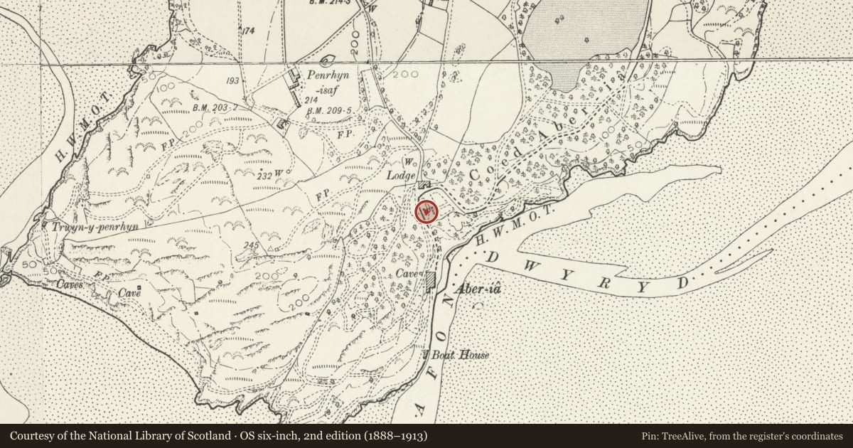 Ordnance Survey six-inch map, 2nd edition (1888–1913) covering the location of Neptune, Penrhyndeudraeth, Gwynedd, with a pin at the register's coordinates