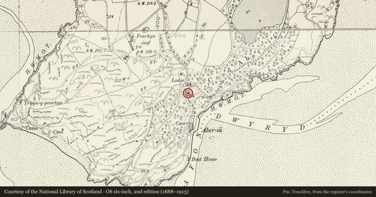 Ordnance Survey six-inch map, 2nd edition (1888–1913) covering the location of Trinity House Including Adjacent Petrol Pump, Penrhyndeudraeth, Gwynedd, with a pin at the register's coordinates