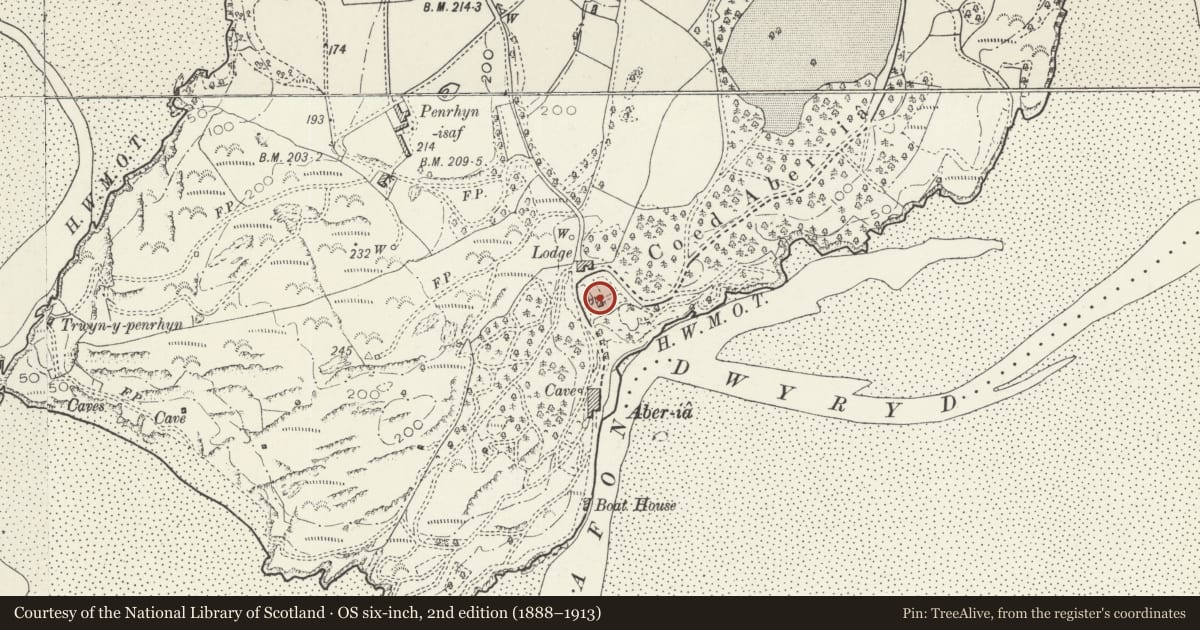 Ordnance Survey six-inch map, 2nd edition (1888–1913) covering the location of Mermaid, Penrhyndeudraeth, Gwynedd, with a pin at the register's coordinates
