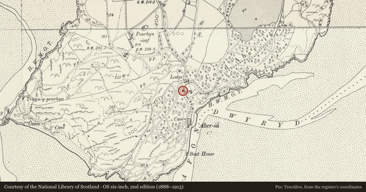 Ordnance Survey six-inch map, 2nd edition (1888–1913) covering the location of The Arches, Penrhyndeudraeth, Gwynedd, with a pin at the register's coordinates