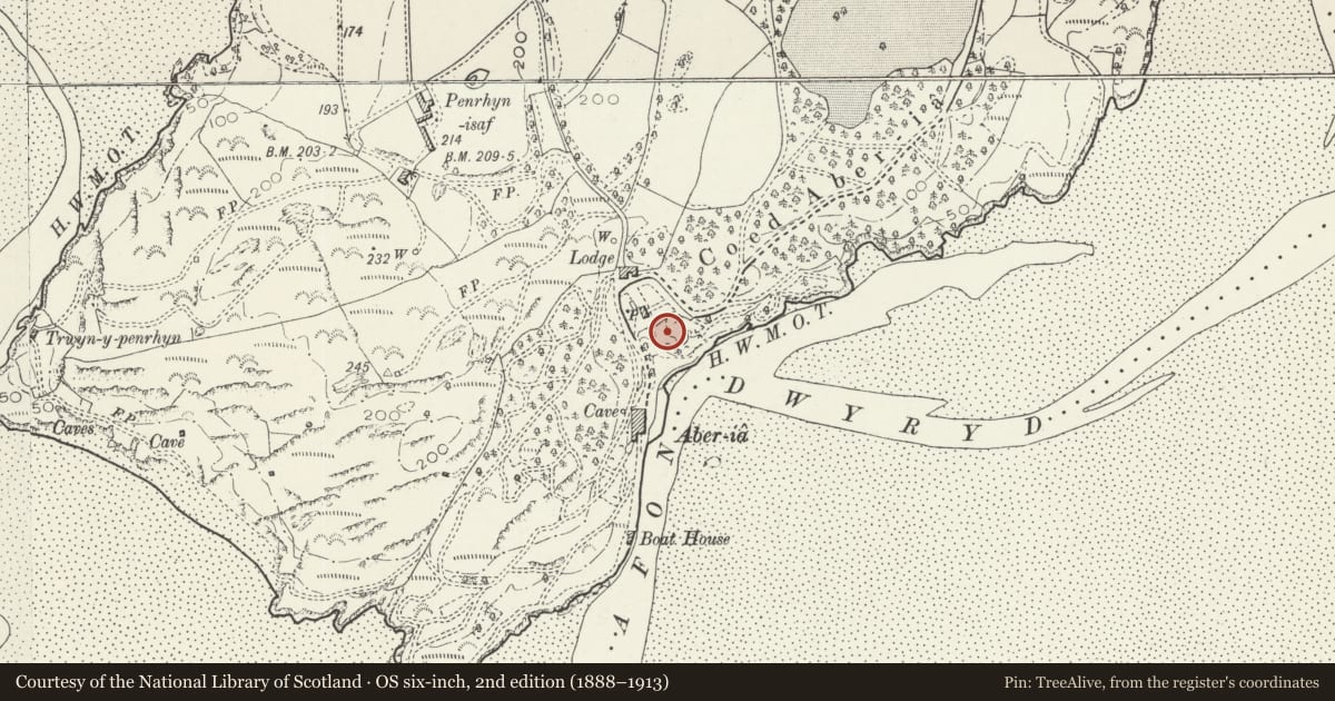Ordnance Survey six-inch map, 2nd edition (1888–1913) covering the location of Dolphin (Including Royal Dolphin), Penrhyndeudraeth, Gwynedd, with a pin at the register's coordinates