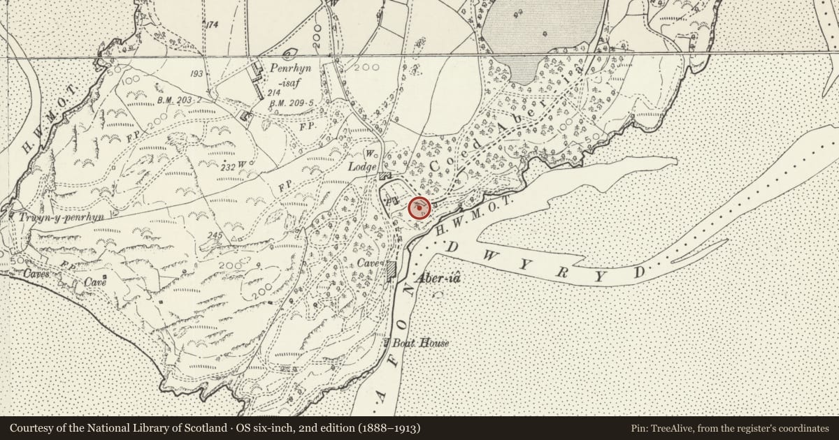 Ordnance Survey six-inch map, 2nd edition (1888–1913) covering the location of Campanile (Also Called The Bell Tower), Penrhyndeudraeth, Gwynedd, with a pin at the register's coordinates