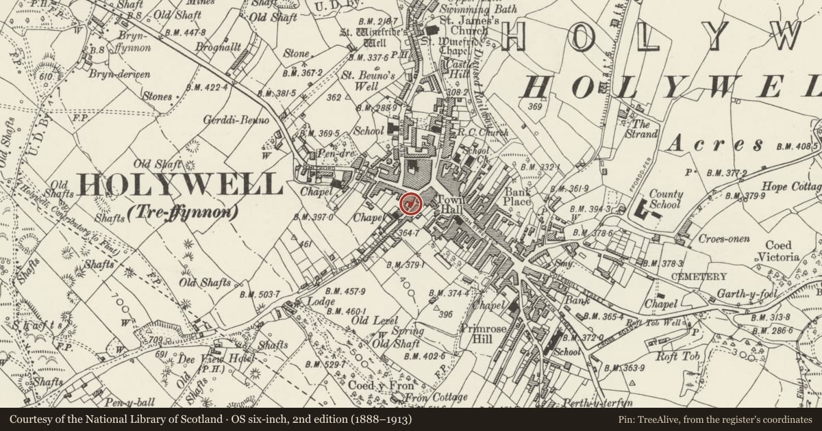 Ordnance Survey six-inch map, 2nd edition (1888–1913) covering the location of Maggies Kitchen, Holywell, Flintshire, with a pin at the register's coordinates