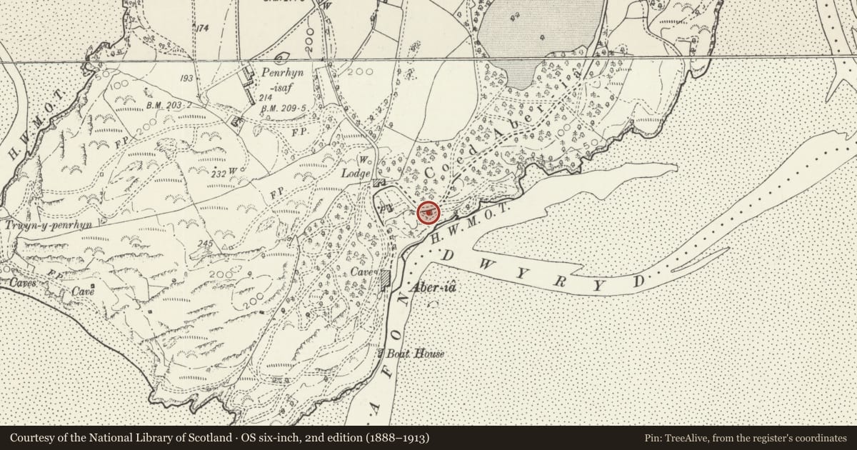 Ordnance Survey six-inch map, 2nd edition (1888–1913) covering the location of Toll House (Including Pilot House), Penrhyndeudraeth, Gwynedd, with a pin at the register's coordinates
