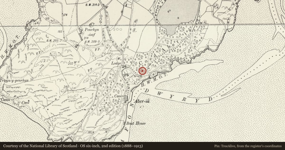 Ordnance Survey six-inch map, 2nd edition (1888–1913) covering the location of The Belvedere, Including Associated Terraces, Penrhyndeudraeth, Gwynedd, with a pin at the register's coordinates