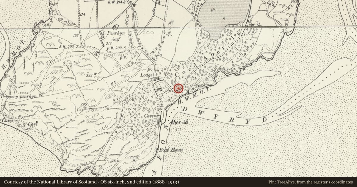 Ordnance Survey six-inch map, 2nd edition (1888–1913) covering the location of The Bridge House, Penrhyndeudraeth, Gwynedd, with a pin at the register's coordinates