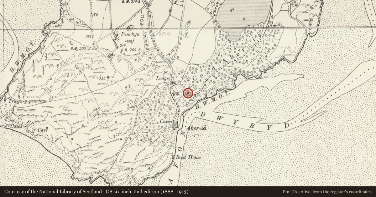 Ordnance Survey six-inch map, 2nd edition (1888–1913) covering the location of Round House Including Adjoining Arch and Walkway, Penrhyndeudraeth, Gwynedd, with a pin at the register's coordinates
