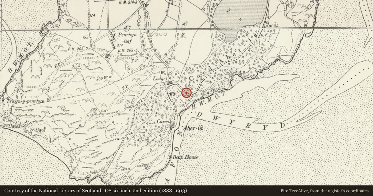 Ordnance Survey six-inch map, 2nd edition (1888–1913) covering the location of Ladies Lodge (Siop Bach), Penrhyndeudraeth, Gwynedd, with a pin at the register's coordinates