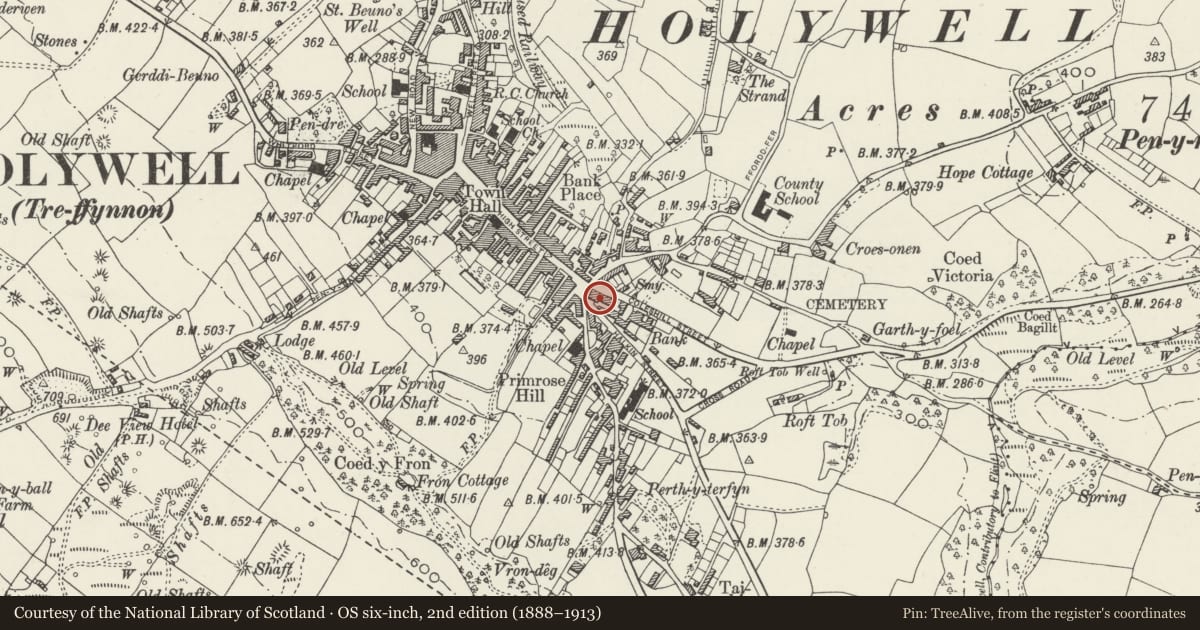Ordnance Survey six-inch map, 2nd edition (1888–1913) covering the location of Hotel Victoria, Holywell, Flintshire, with a pin at the register's coordinates