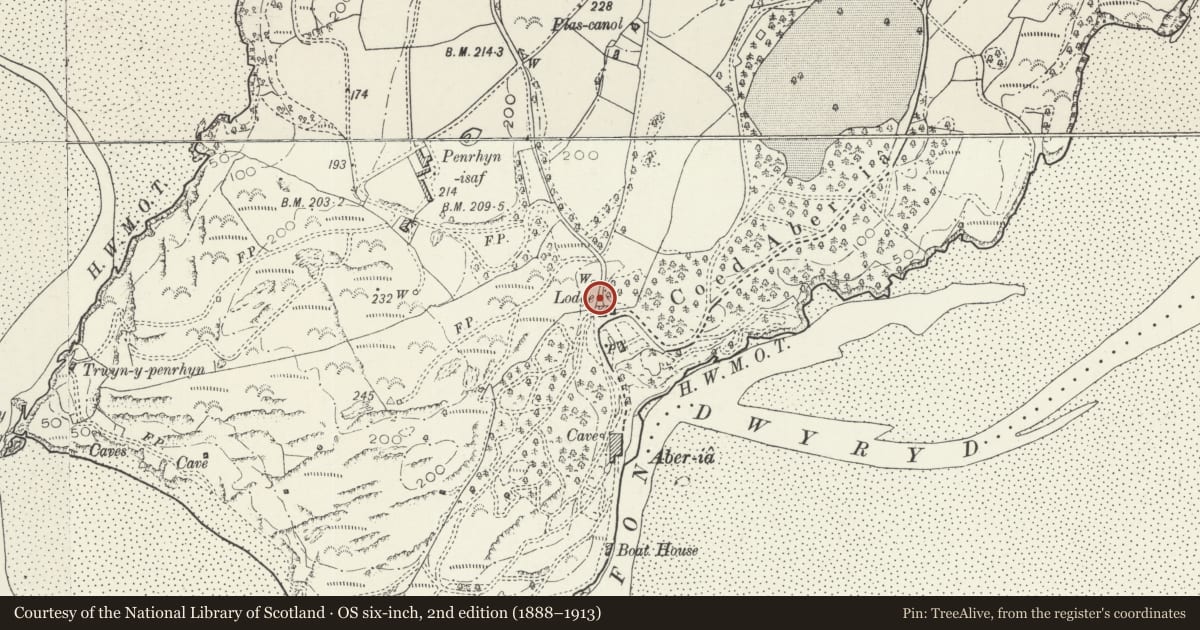 Ordnance Survey six-inch map, 2nd edition (1888–1913) covering the location of Triumphal Arch Including Adjoining Service Block to the NW, Penrhyndeudraeth, Gwynedd, with a pin at the register's coordinates