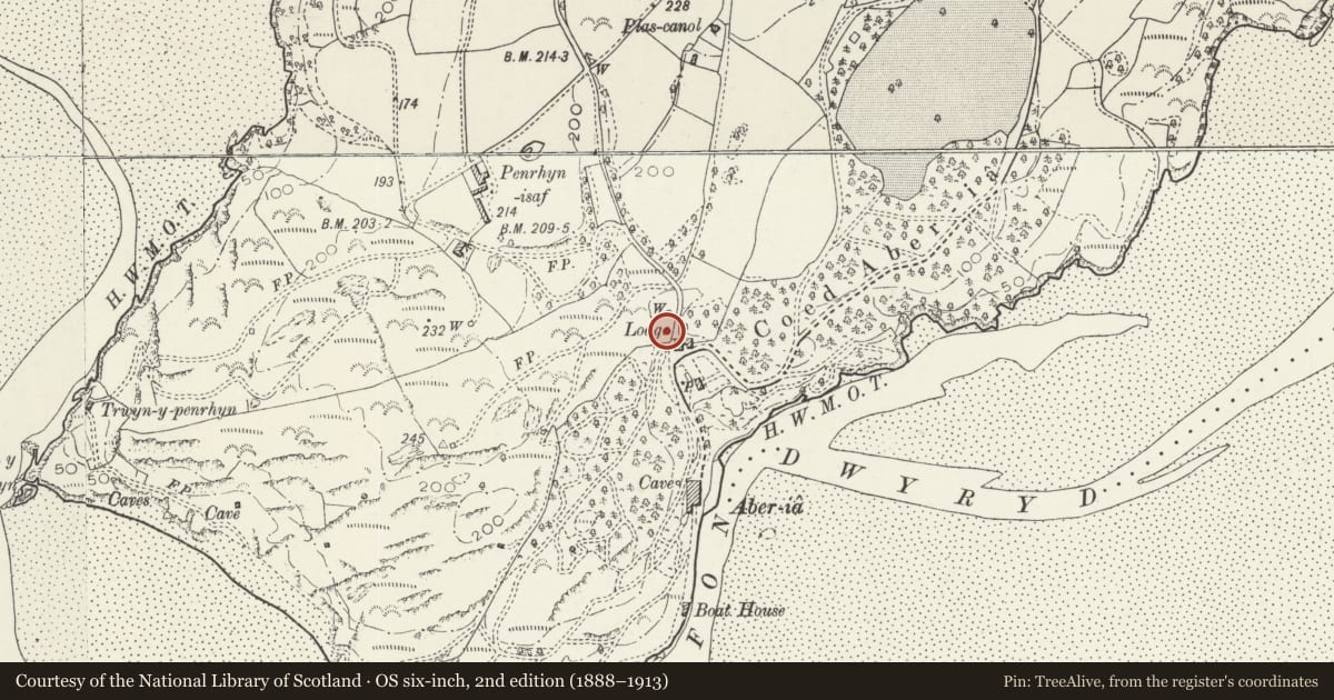 Ordnance Survey six-inch map, 2nd edition (1888–1913) covering the location of The Piazza, Including Adjoining Playhouse Central Vase Monument, Penrhyndeudraeth, Gwynedd, with a pin at the register's coordinates