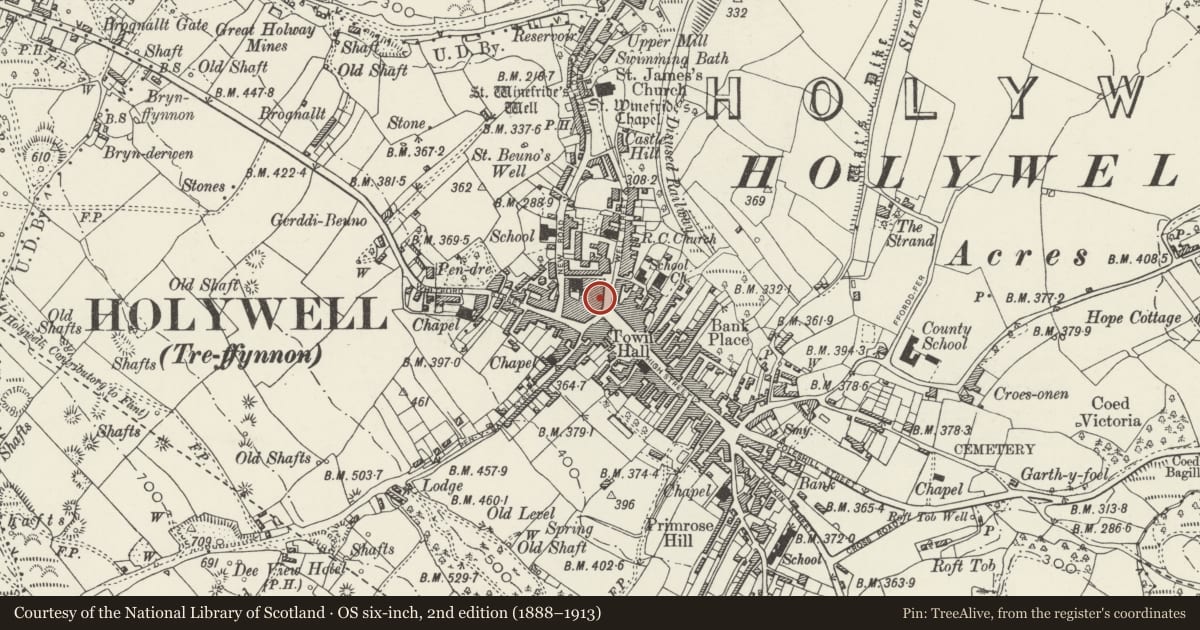 Ordnance Survey six-inch map, 2nd edition (1888–1913) covering the location of 1 Well Street, Holywell, Flintshire, with a pin at the register's coordinates