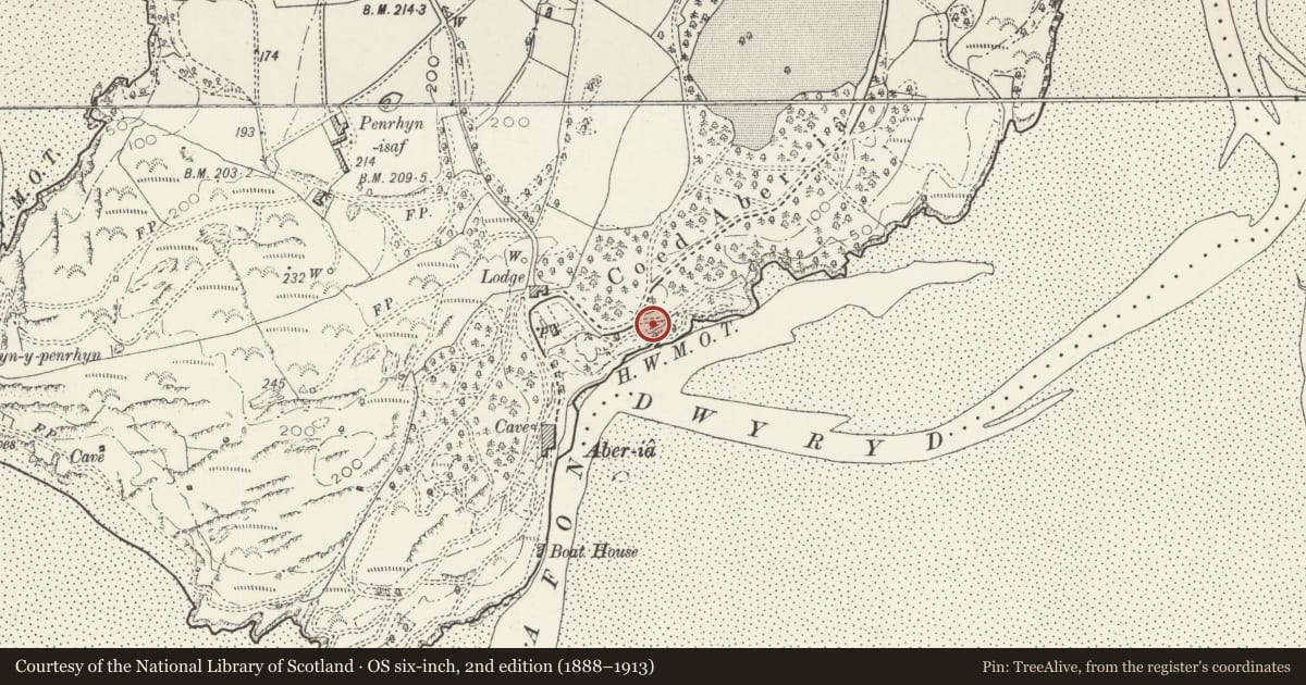 Ordnance Survey six-inch map, 2nd edition (1888–1913) covering the location of Rotunda or Grotto, Penrhyndeudraeth, Gwynedd, with a pin at the register's coordinates