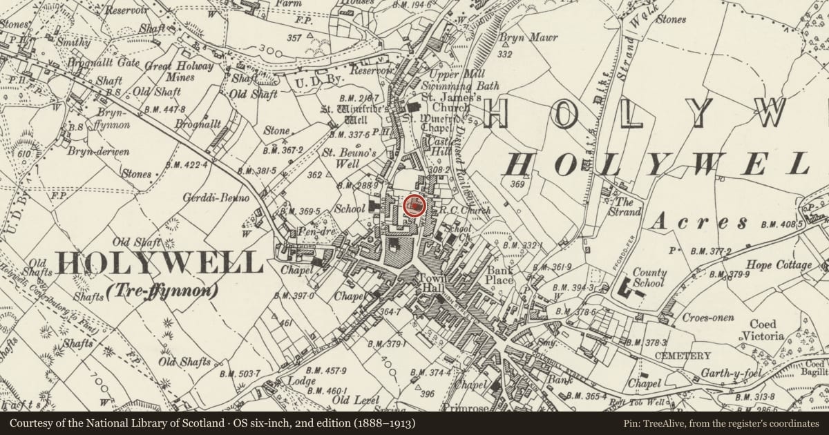 Ordnance Survey six-inch map, 2nd edition (1888–1913) covering the location of St Winefride's Roman Catholic Church, Holywell, Flintshire, with a pin at the register's coordinates