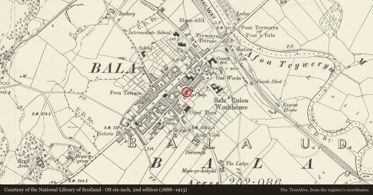Ordnance Survey six-inch map, 2nd edition (1888–1913) covering the location of 48 Mount Street, Bala, Gwynedd, with a pin at the register's coordinates