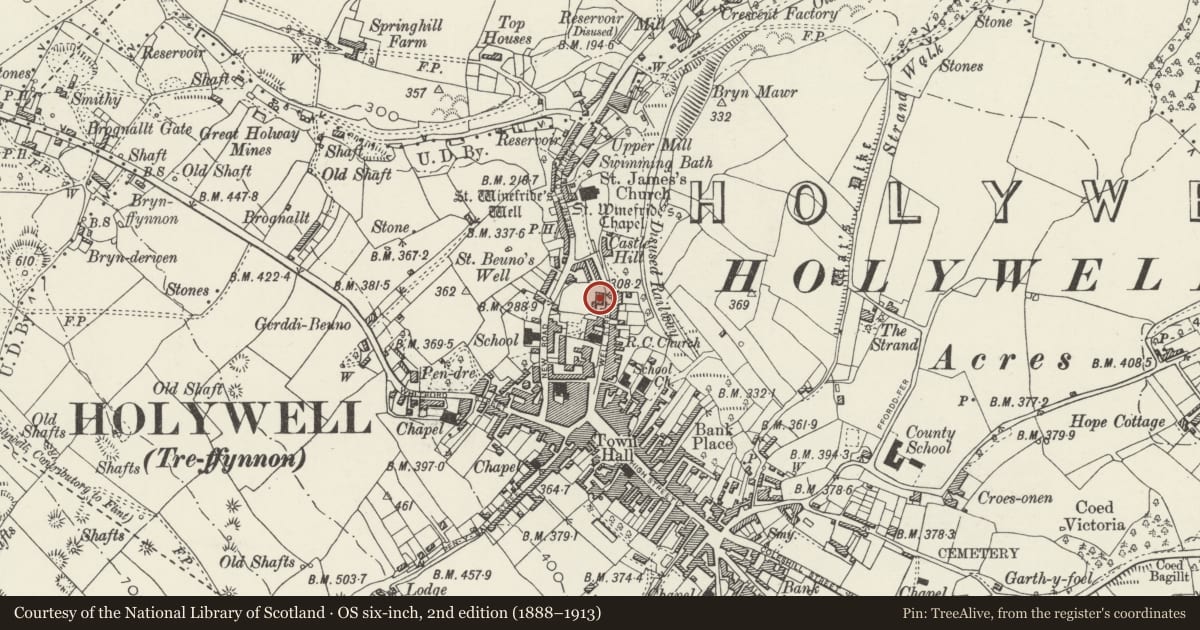 Ordnance Survey six-inch map, 2nd edition (1888–1913) covering the location of Old Vicarage, Holywell, Flintshire, with a pin at the register's coordinates