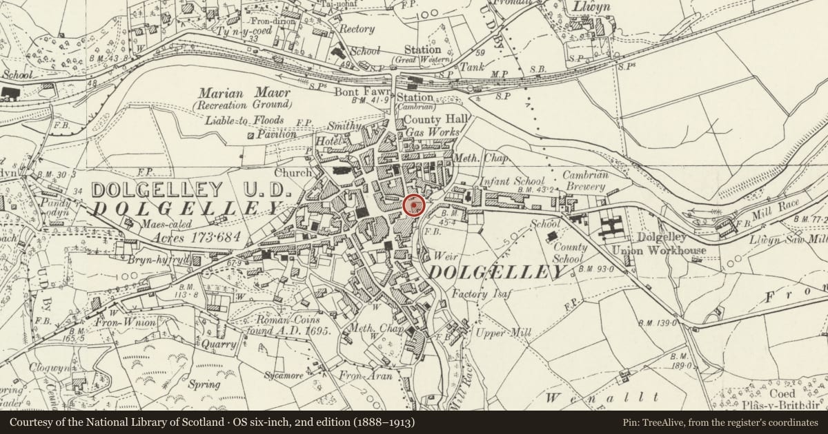 Ordnance Survey six-inch map, 2nd edition (1888–1913) covering the location of Lloyd, Herbert & Jones, Estate Agents, Dolgellau, Gwynedd, with a pin at the register's coordinates