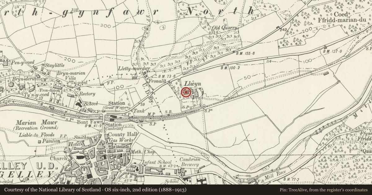Ordnance Survey six-inch map, 2nd edition (1888–1913) covering the location of Llwyn, Dolgellau, Gwynedd, with a pin at the register's coordinates