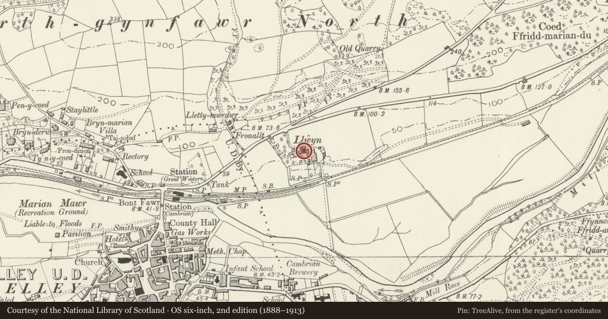 Ordnance Survey six-inch map, 2nd edition (1888–1913) covering the location of Ruined Building to East of Llwyn, Dolgellau, Gwynedd, with a pin at the register's coordinates