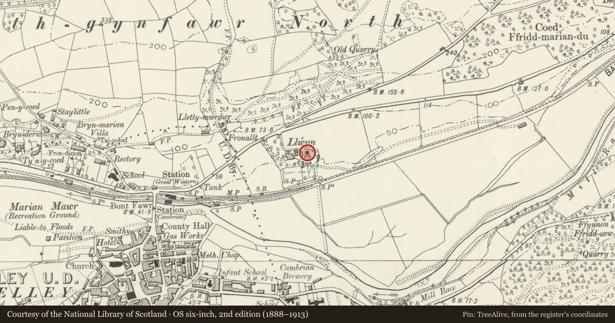 Ordnance Survey six-inch map, 2nd edition (1888–1913) covering the location of Dutch Barn at Llwyn, Dolgellau, Gwynedd, with a pin at the register's coordinates