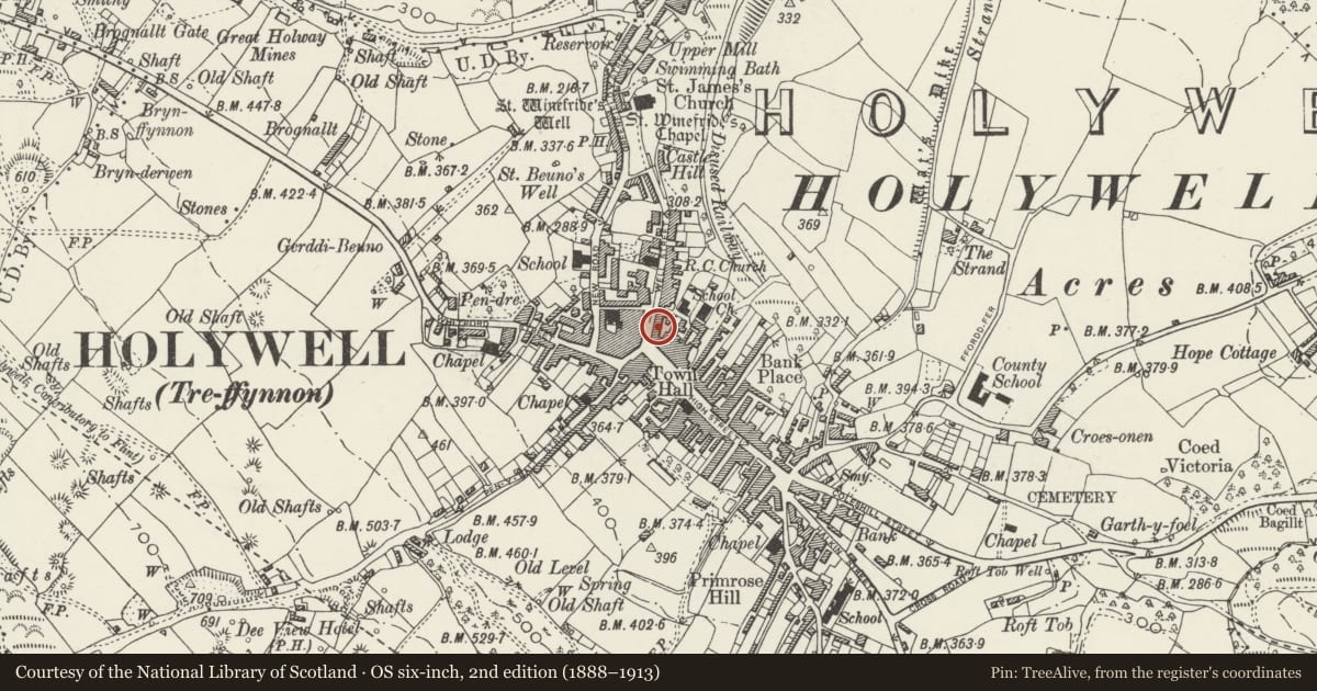 Ordnance Survey six-inch map, 2nd edition (1888–1913) covering the location of 8 Well Street, Holywell, Flintshire, with a pin at the register's coordinates