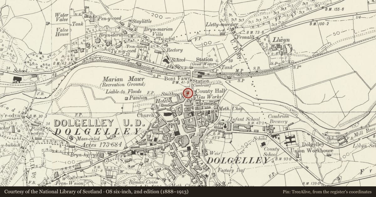 Ordnance Survey six-inch map, 2nd edition (1888–1913) covering the location of Beechwood House, Dolgellau, Gwynedd, with a pin at the register's coordinates